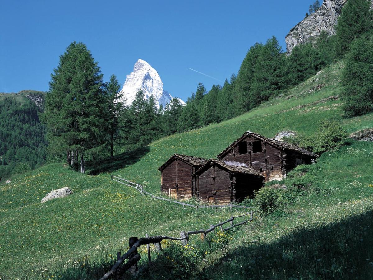 Apartment Richemont By Interhome Zermatt Exterior foto